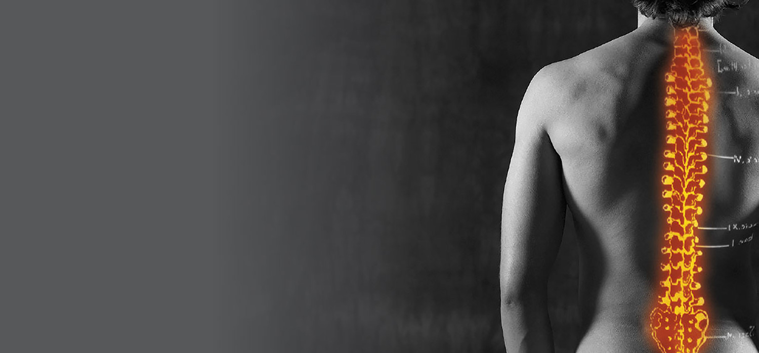bg_rueckenteaser